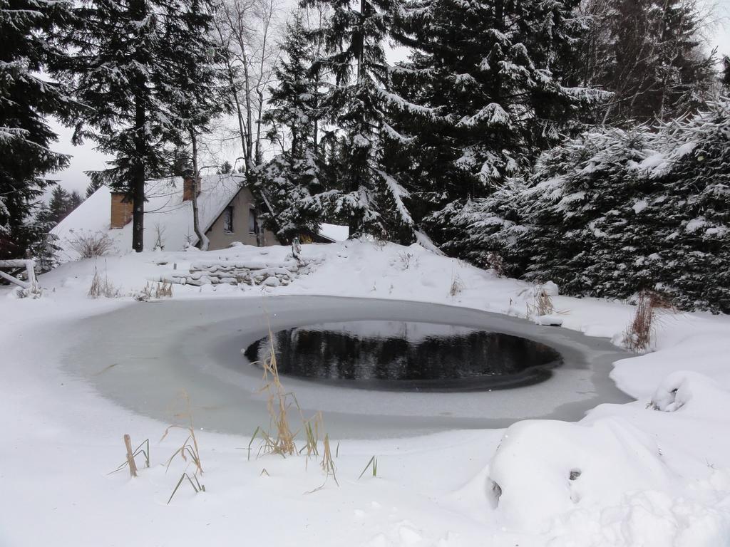 Hotel Pavla Vysocina Нове Место на Мораве Екстериор снимка